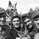 czterej pancerni i pies