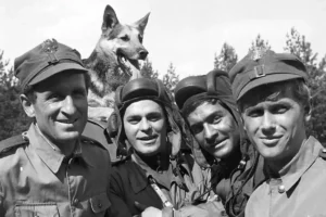 czterej pancerni i pies