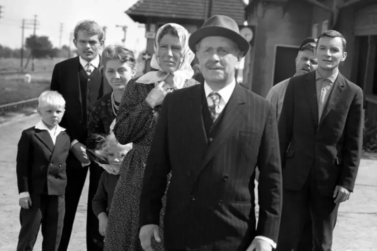 kadr z filmu Sami swoi