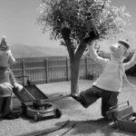 kadr z dobranocki Sąsiedzi