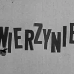 Czołówka programu Zwierzyniec