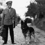 kadr z serialu Przygody psa cywila