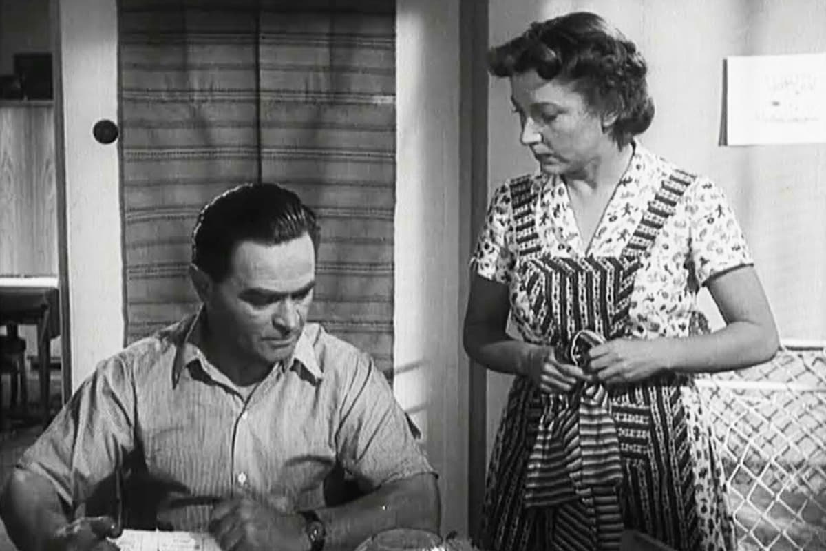 Kadr z filmu Irena do domu