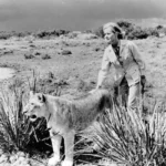 Kadr z serialu Elza z afrykańskiego buszu