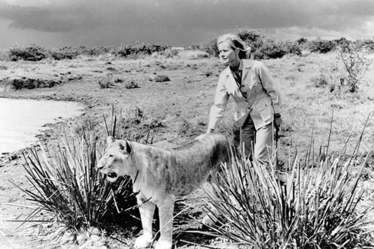 Kadr z serialu Elza z afrykańskiego buszu